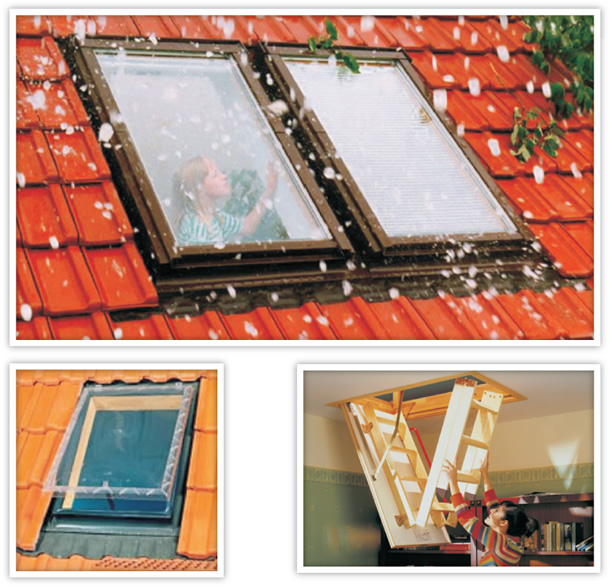 Roof Window & Roof Ladder